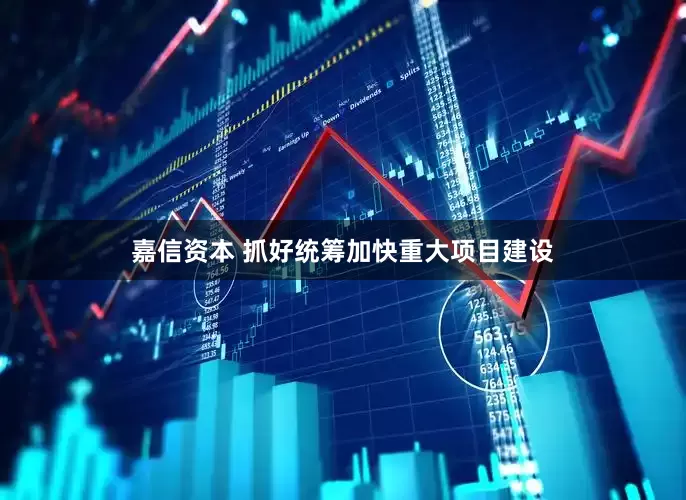 嘉信资本 抓好统筹加快重大项目建设