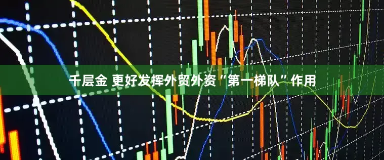 千层金 更好发挥外贸外资“第一梯队”作用