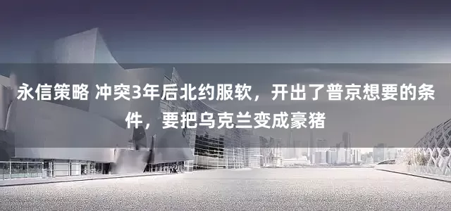 永信策略 冲突3年后北约服软，开出了普京想要的条件，要把乌克兰变成豪猪