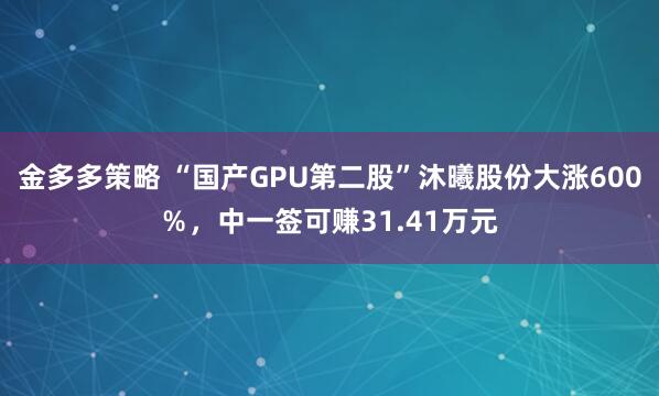 金多多策略 “国产GPU第二股”沐曦股份大涨600％，中一签可赚31.41万元