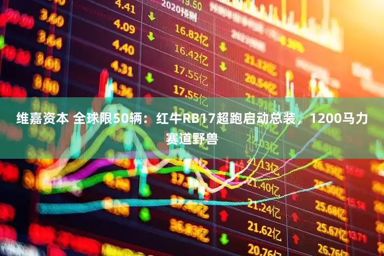 维嘉资本 全球限50辆：红牛RB17超跑启动总装，1200马力赛道野兽